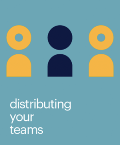 team-distribution-covid-19.png