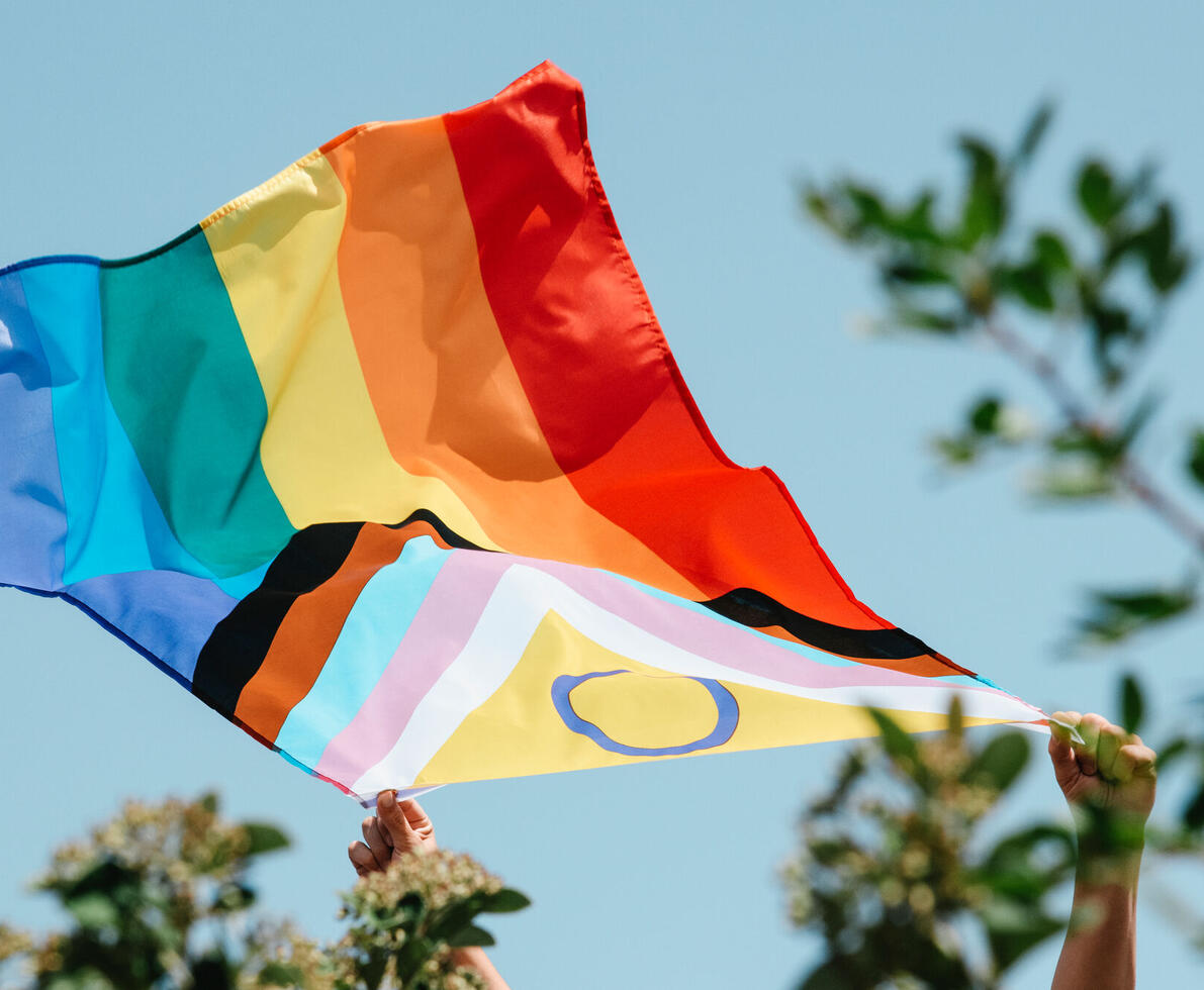 EDI flag